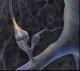 Avatar utente