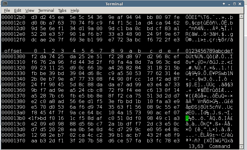 terminal.png